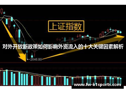 对外开放新政策如何影响外资流入的十大关键因素解析
